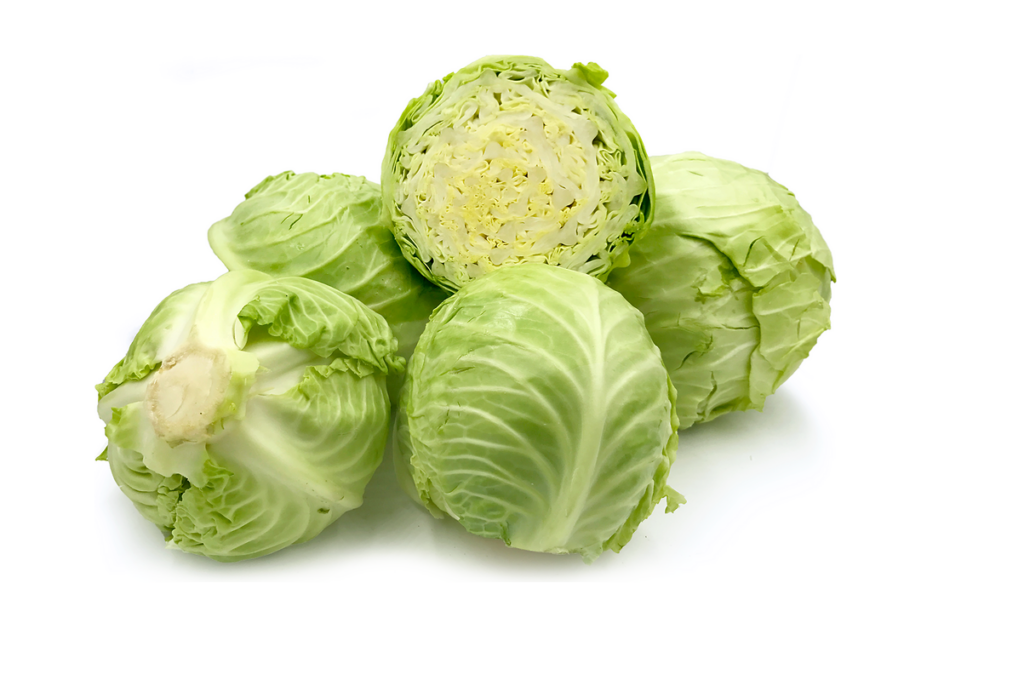 Dried cabbage flake