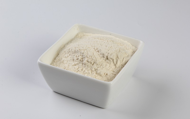 Bulk Onion Powder, White Onion Powder